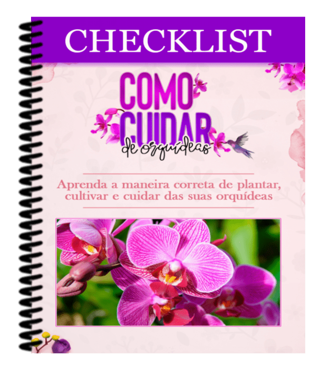 Checklist Orquiseas