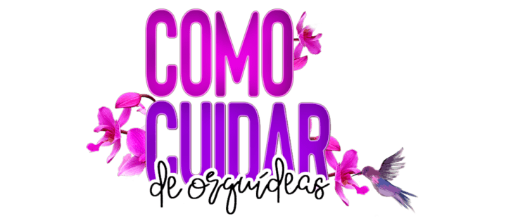 Logo Orquídeas