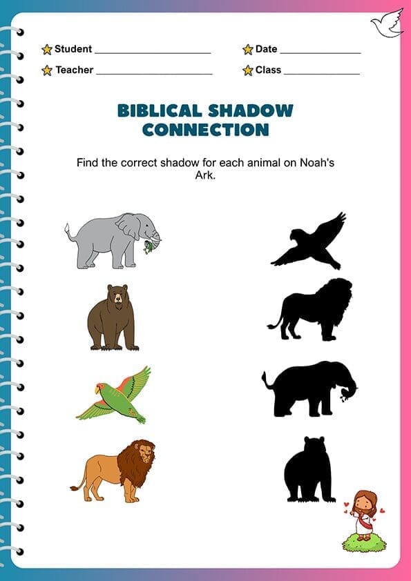 SHADOW-CONNECTION-2.jpg