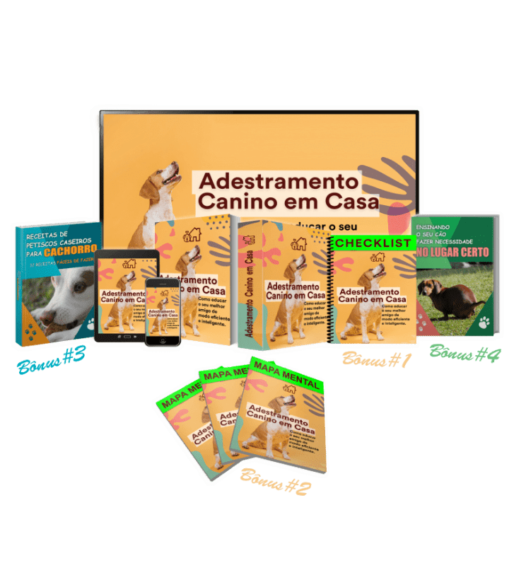 (PLR) Adestramento Canino
